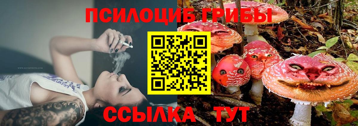 Псилоцибиновые грибы GOLDEN TEACHER  что такое наркотик  Топки  Вход с VPN 